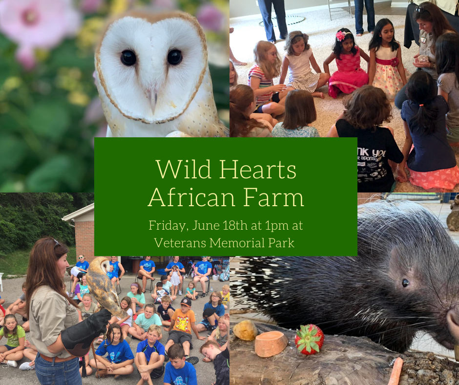 African Zoo